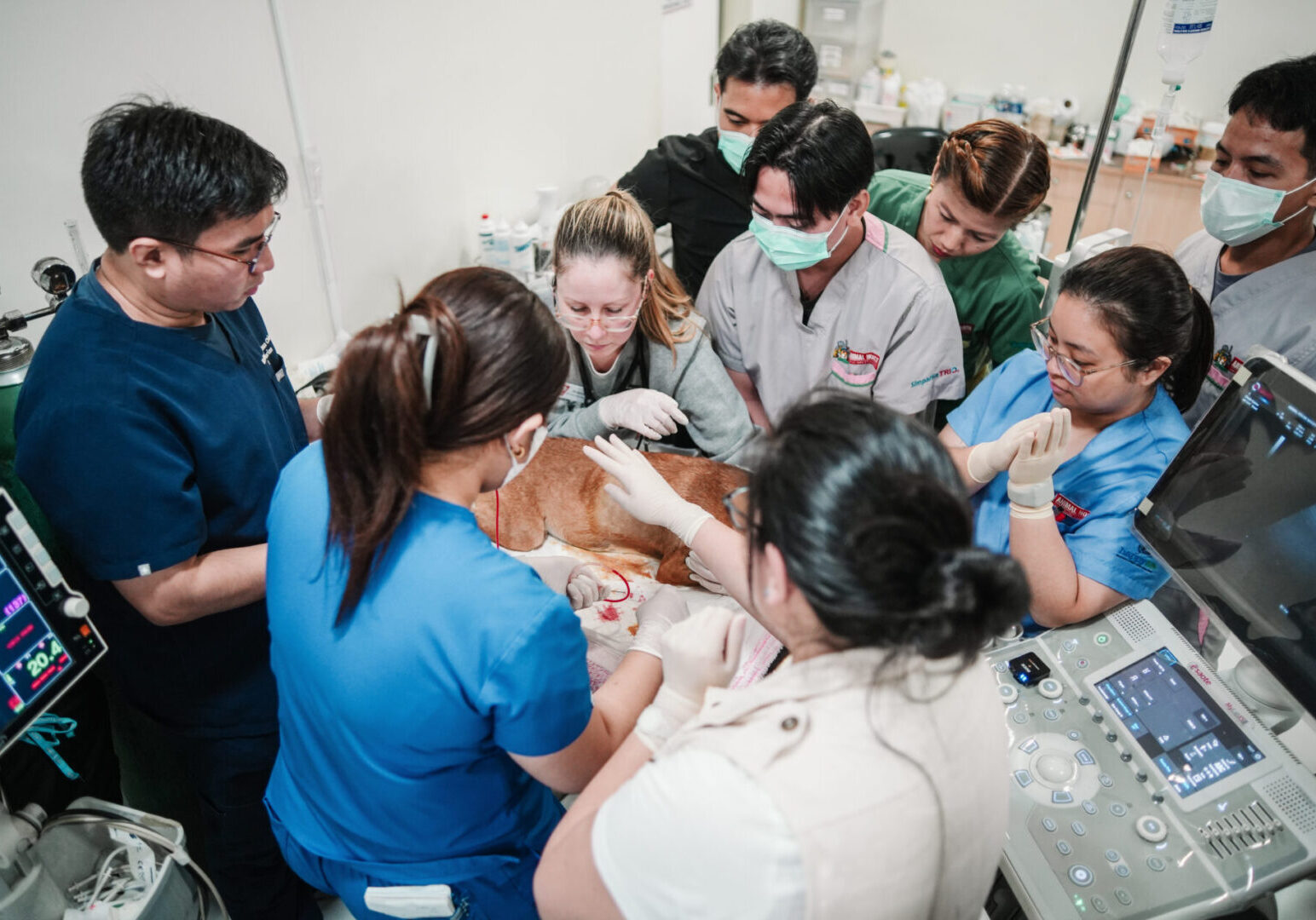 A group of veterinary professionals in scrubs and masks work closely together around a dog lying on a treatment table, performing a medical procedure. One person appears to be guiding an ultrasound while others assist, monitor, and handle equipment, with a patient monitor and ultrasound machine visible nearby. The scene conveys a collaborative, high-intensity clinical environment.